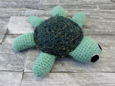 Turtle (3)